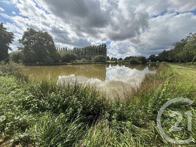 terrain à vendre - 13343.0 m2 - COURBEVEILLE - 53 - PAYS-DE-LOIRE - Century 21 Dréano Immobilier